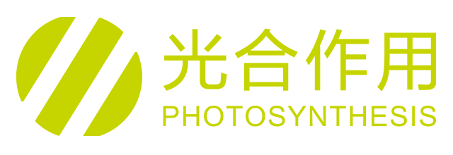 guanghezuoyongshangmao.png